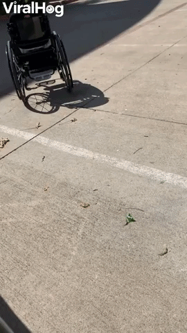Rolling Wheelchair Returns