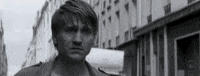 new york film festival nyff 2015 GIF by Film Society of Lincoln Center
