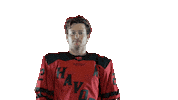 Great Job Thumbs Up Sticker by Huntsville Havoc