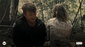 season 2 ww GIF by Westworld HBO