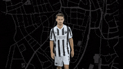 Svs1916 GIF by SV Sandhausen