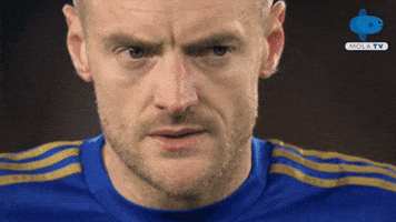 Premier League Football GIF by MolaTV