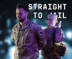 Flashing Lights Cops GIF by Only_Reilly