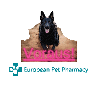 Epp Unter Sticker by Europeanpetpharmacy