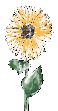 Flower Garden Sticker