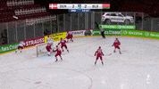 GIF by International Ice Hockey Federation