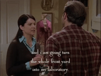 season 6 netflix GIF by Gilmore Girls 