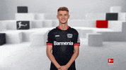 Bayer 04 Love GIF by Bundesliga