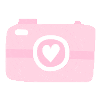 Camera Corazon Sticker
