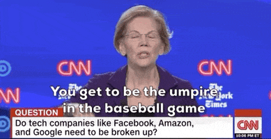 Elizabeth Warren GIF by GIPHY News