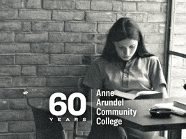 Before And After Annearundelcc GIF by Anne Arundel Community College