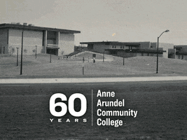 Before And After Library GIF by Anne Arundel Community College