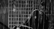as they should be akira kurosawa GIF by Maudit
