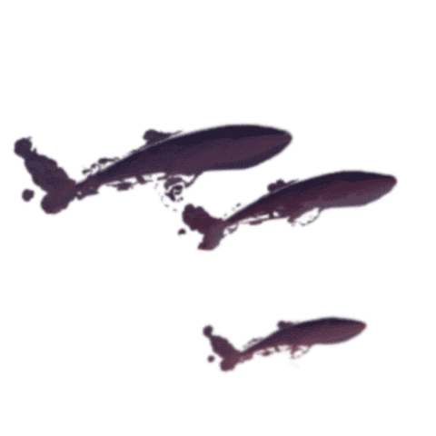 Sky Whales Sticker by Travel Oregon