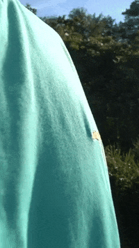 wearethankful tree golden thankful stick GIF