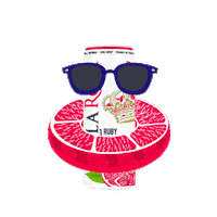 Grapefruit Stellabrate Sticker by Stella Rosa Wines