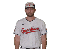 Sport Guardians Sticker by MLB