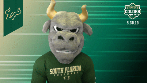 Usf College Colors Day GIF by University of South Florida