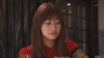 seigi no mikata japan GIF