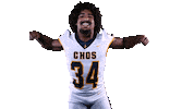 Football Sport Sticker by University of Central Oklahoma
