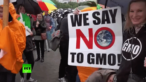 salad_boi giphygifmaker GIF