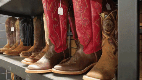 CSUSocial giphyupload denver csu cowboy hat GIF