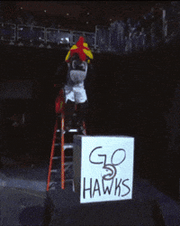 Hooper GIF by Detroit Pistons