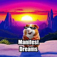 Dreams Manifest GIF by Guinea Gambino