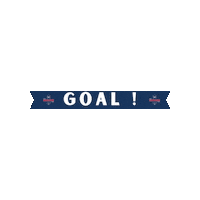 thcindiana indiana thc indiana hockey indiana indiana hockey Sticker