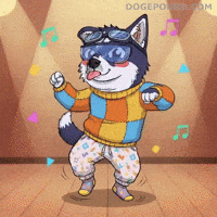 Happy Lets Go GIF by Doge Pound