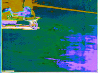 summer fall GIF by MFD