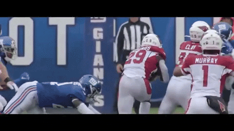 FF_Chef giphygifmaker GIF