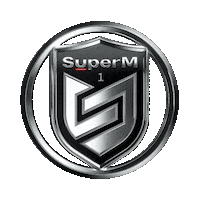 We Are The Future Mark Sticker by SuperM