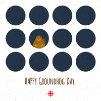groundhog day animation GIF by CBC