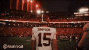 Alabama Roll Tide GIF