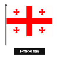 Flag Bandera Sticker by Formación Ninja