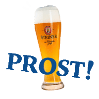 Summer Beer Sticker by steinerbier