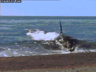 sad but true swimming GIF by Cheezburger