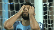 man city GIF by Manchester City
