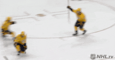 Celebrate Ice Hockey GIF by NHL