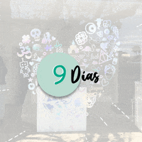 9 Dias 9 Giveaways GIF by Alanika