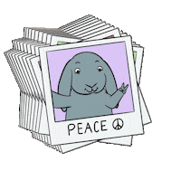 BunBea love peace bunny rabbit Sticker