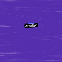 Checkthisout GIF by Social Nation