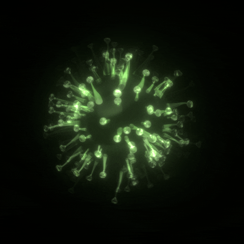 Loop Health GIF by xponentialdesign