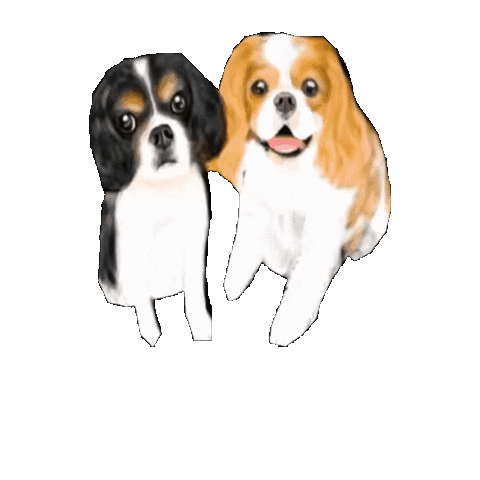 Cavalier Sticker