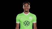 Football Reaction GIF by VfL Wolfsburg