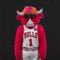 Red Bull No GIF by Chicago Bulls