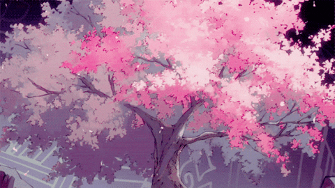 blossom GIF