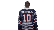 Ice Hockey Sticker by Fehervar AV19