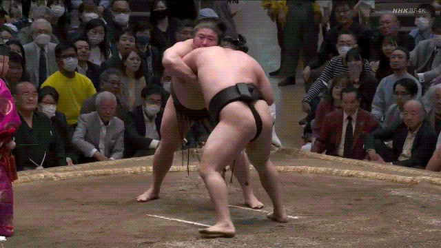 TZ85 giphyupload sumo 2023 natsu basho wakamotoharu GIF